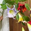 Flor de mandala PU2 artificial de duas cabeças, flor de glória da manhã falsa, decoração suave de fundo para salão de cerimônia de casamento, arranjo floral para hotel e casa