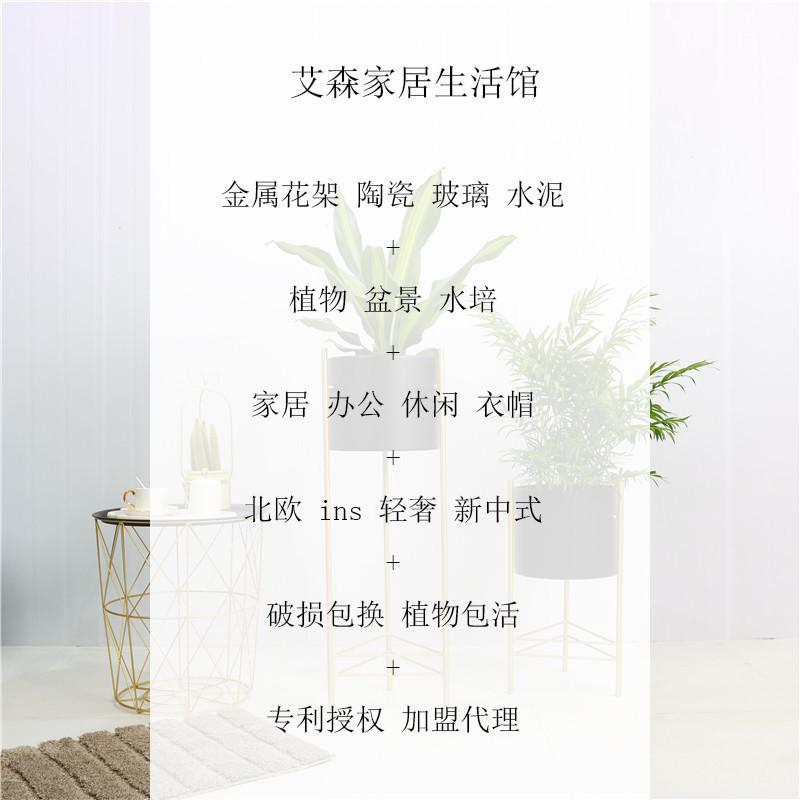详情2