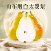 Pera Tai Po de Yantai, Shandong, disponible para entrega 3/5/ 4.5kg Pera plátano, Pera esposa, Pera cabeza grande, fruta fresca de temporada