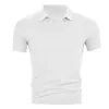 Camisetas Masculinas de Manga Curta Transfronteiriças Amazon Comércio Exterior Tamanho Europeu Verão Respirável Cor Sólida Casual Slim Fit Camisa Polo Esportiva