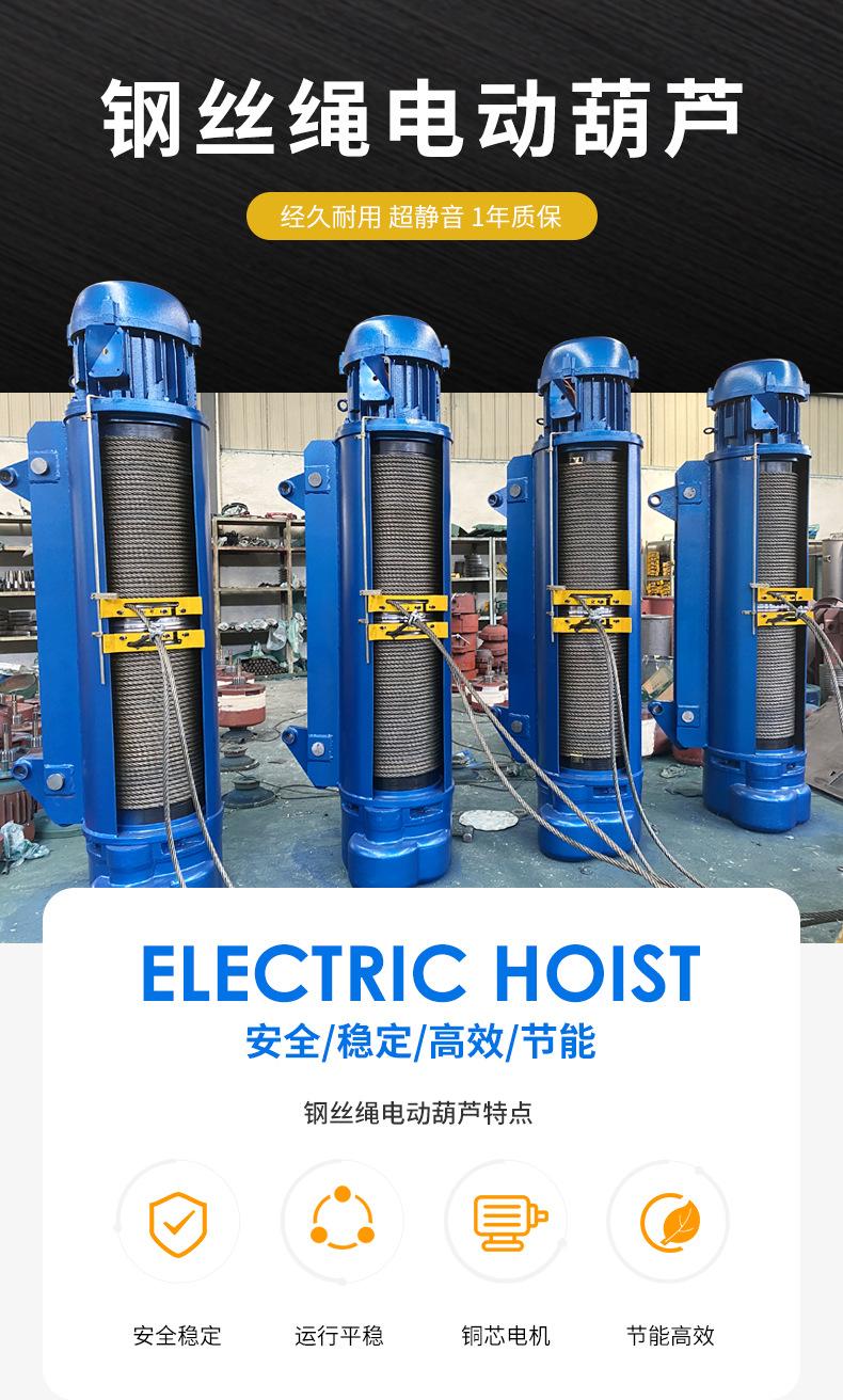钢丝绳电动葫芦_01