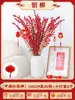 Sauce Plateado Flor Real Ramas Frescas Flores de Año Nuevo Flores Secas Rojas Cubo de la Fortuna Sauce Plateado Plantas Hidropónicas Flores Frescas Sala de Estar Sauce Plateado Mayoreo