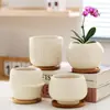 Macetas de Cerámica con Platos para Uso Doméstico al por Mayor, Macetas para Suculentas de Estilo Ins Simple Lujo Ligero Estilo Crema, Disponible para Dropshipping