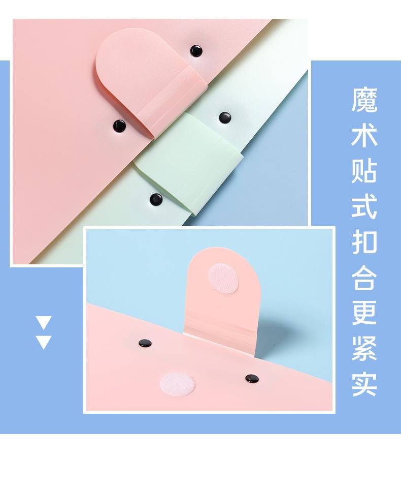 风琴试卷夹详情_09