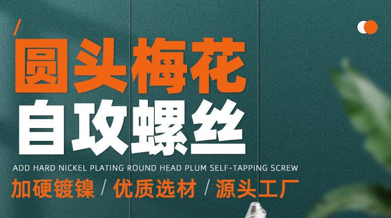 淬火加硬镀镍圆头梅花自攻螺丝_01_01.jpg