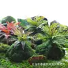 Musgo Sintético Decoración Suave para Interiores Conjunto de Micro-Paisajismo Combinación Ventana Pasillo Musgo Falso Planta Verde Decoración de Paisajismo Arreglo