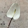Decoração de Casamento com Flores Brancas, Peônias, Phalaenopsis, Rosas, Arranjos Florais de Teto e Arranjos Florais Pretos para o Salão de Casamento