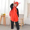 Ropa de cosplay para jardín de infantes, ropa de actuación de baile de animales para niños, Halloween 61, ropa de escenario de felpa al por mayor
