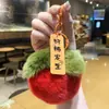 Colgante de Felpa Buena Suerte Caqui Caqui Pequeño Imitación Piel de Conejo Caqui Buena Suerte Pompon Colgante de Bolsa Llavero Mayoreo