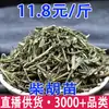 Mudas de Bupleurum, Mudas Resistentes de Bupleurum, Mudas de Bupleurum Folhoso, Mudas de Bupleurum Aromático Atacado e Entrega