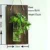 Vaso hidropônico criativo para pendurar com múltiplos formatos de garrafa para escolher, parede verde DIY com ótima atmosfera e combinação livre para criar uma parede de fundo artística