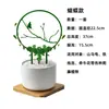Novo Modelo 2025 Estrutura de Suporte para Plantas Trepadeiras como Trepadeira Tartaruga, Clematis e Jiboia, Suporte para Flores para Varanda