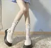 Exclusivo para Almacén LightningEtiqueta Independiente Certificación Código 69Calcetines, Ropa, Zapatos, Ropa Interior (No. 8)