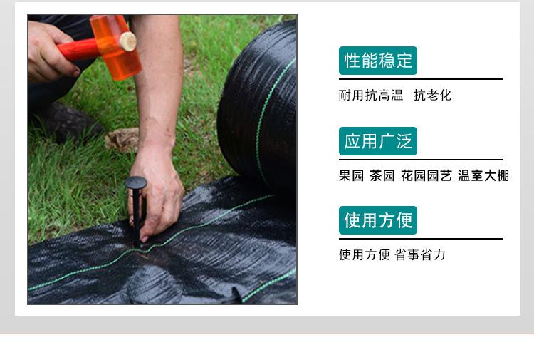 详情_03.jpg