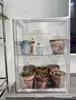 Incubadora de Plántulas para Invernadero Caja de Nebulización para Plantas Tropicales Acrílico Totalmente Transparente Gabinete para Plantas Tropicales Caja de Almacenamiento Humidificadora para el Hogar