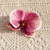 Cabeza de Flor Phalaenopsis Eva Cotton Impresa en 3D (Grande) Flor Artificial Accesorio de Regalo Accesorio para el Cabello Decoración de Ropa Exquisita Decoración de Boda