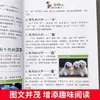 Interés y Encanto en la Bibliografía de Lectura Extracurricular China para 3º, 4º, 5º y 6º Grado