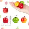 Atacado de Fábrica Fonte Frutas e Verduras Falsas Modelo de Maçã Artificial Maçã Vermelha Maçã Verde Decoração de Casa Exibição