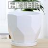 Vaso de Flor Grande de Cerâmica com Base, Branco Simples para Rabanete Verde, Antúrio de Mesa, Vaso para Jasmim, Preço Especial para Interior