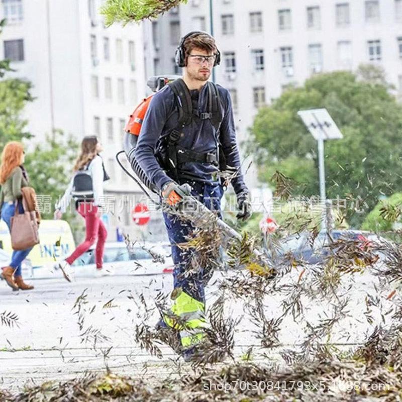 19  578BTF风力灭火机 (4).jpg