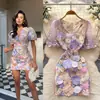 Estilo Francés Vestir Mujer Corte Francés Industria Pesada Bordado Malla Manga Abullonada Cintura Ceñida Vestido Mujer Aspecto Delgado Vestido Elegante