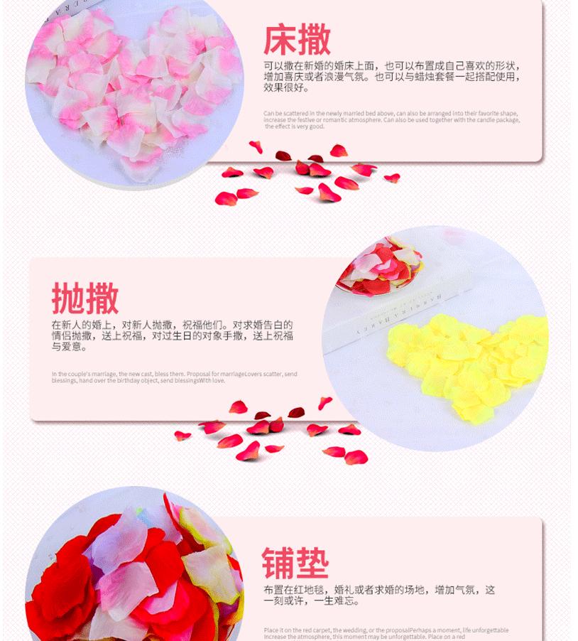 玫瑰花瓣_03