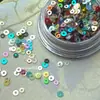 Estilo INS Nicho Círculo Lentejuelas de Color Joyería para Uñas Plástico Estilo Infantil Usar Armadura Pasta Brillante Accesorios Polarizados