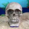Calavera Halloween Esqueleto Juguetes de Arena Mesa de Arena Psicológica Juguetes de Arena Accesorios Sacrificiales Accesorios Mágicos Directo del Fabricante