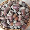 Envío Gratis 30 Piñas Flores Secas Decorativas Hecho a Mano Paquete de Materiales Creativos DIY Decoración del Hogar Ramas Secas Piñas Escama de Pez