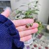 Pendientes de circonita de cristal de grado AAA, versión coreana, pendientes sencillos, pendientes femeninos con pasador de plata 925, venta directa de fábrica