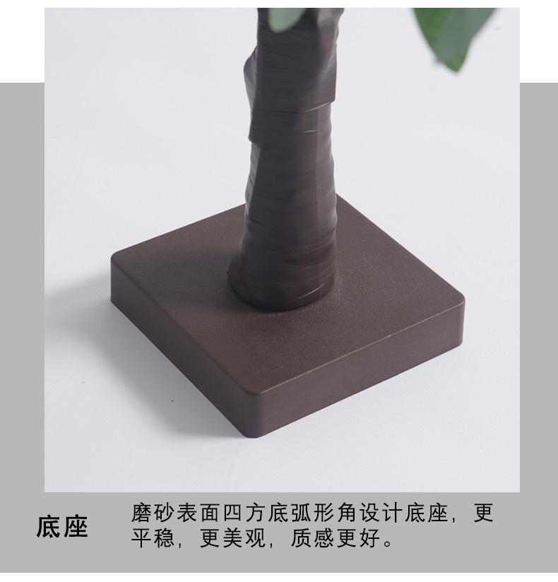 红果树灯尚佳_14.jpg