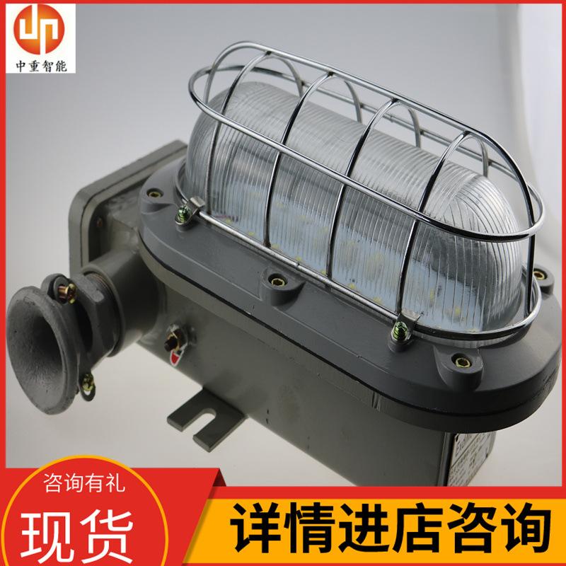 矿用本安型LED支架灯05