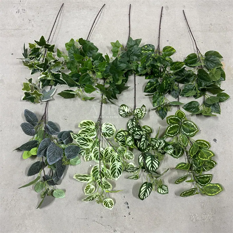 3叉绿植叶
