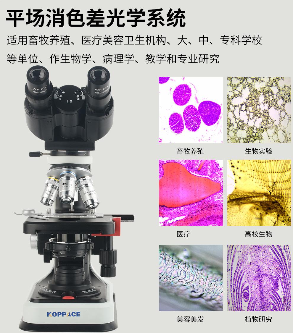 详情_03-2.jpg