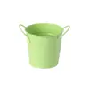 Fornecimento Transfronteiriço de Flores Coloridas para Jardim, Plantas Verdes Suculentas, Arranjos Florais, Baldes de Ferro Metálico, Latas de Armazenamento de Papelaria para Mesa