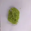 Flor eterna de Yunnan flores secas sin impurezas Musgo inmortal paquete de materiales de rosa inmortal 10G Musgo al por mayor