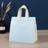 Bolsa Térmica para Milk Tea, para Copo Único, para Copo Duplo, Bolsa Térmica de Alumínio para Levar, Bolsa para Entrega de Café, Tecido Não Tecido Selado a Quente