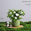 Árvore da Fortuna Plantada em Vaso Desktop Planta Criativa Enfeites Florais de Escritório e Plantas Verdes Coco Rico Funcho Pequeno Bonsai