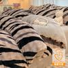 Funda de edredón de terciopelo de leche de invierno, pieza única, doble cara, forro polar, terciopelo de burbujas, 150x200x230, funda de edredón individual de terciopelo coral