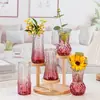 Juego de Jarrones de Vidrio al por Mayor en Stock, Jarrones Pequeños de Vidrio Transparentes, Decoraciones de Restaurante de Alta Gama, Arreglo Floral, Colorido y Sofisticado