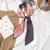 Lenço de seda Faixa de cabelo francesa outono fino preguiçoso retrô lenço de seda lenço pequeno feminino fita longa decorativa lenço de cabeça fita