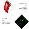 Reloj de la Marca Oli Shi Reloj de Cuarzo Multifuncional Simple Nicho Douyin Transfronterizo Comercio Exterior Reloj de Mujer Reloj de Mujer
