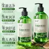 Baizhentang Platycladus orientalis aloe vera shampoo limpo e macio atacado refrescante e macio cabelo liso cuidado com cabelo sedoso