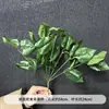 Hierba de Espárrago, Hierba Bigote de Dragón, Paisajismo de Plantas, Vegetación, Banquete de Boda y Compromiso, Exhibición Colgante para Ventana Estilo Bosque, Arreglo Floral