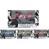 Rally Cross de Motocicleta 33X10X19Cm (P)