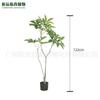 Simulación Avanzada Planta Árbol de la Fortuna Decoración Planta Verde Decoración de Interior Planta Artificial Árbol de la Fortuna Sala de Estar Planta Falsa en Maceta