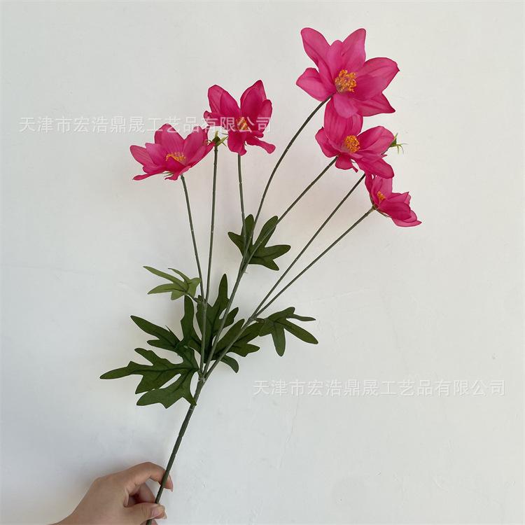 微信图片_20220831171101