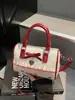 2026 Nova Bolsa de Mão Doce com Laço de Alto Valor Pequena Versátil para o Dia a Dia Bolsa Transversal para Mulheres
