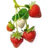Pegatinas Impermeables para Cocina con Atractivo Diseño de Fresas, Pegatinas para Refrigerador, Pegatinas para Vidrio de Gabinetes de Restaurante