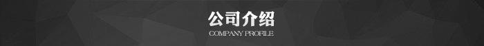 公司介绍